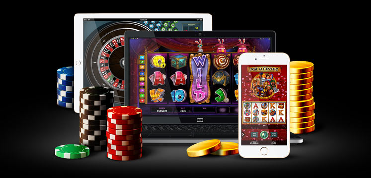 Explore the Excitement of Richy Fox Casino